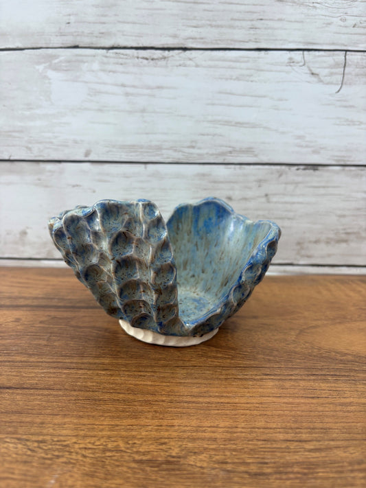 Blue & Silver Coral