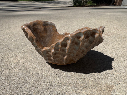 Brown Coral