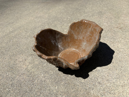 Brown Coral