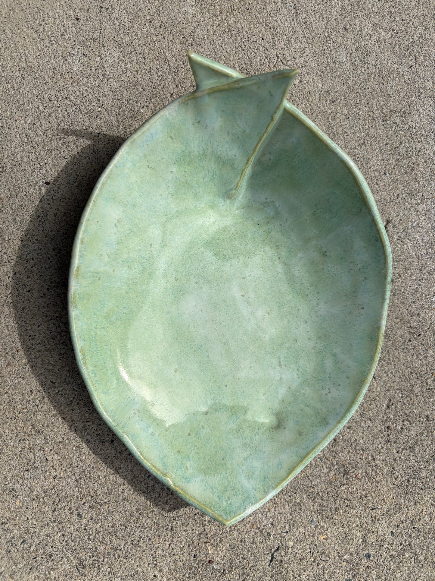 Fish Dish